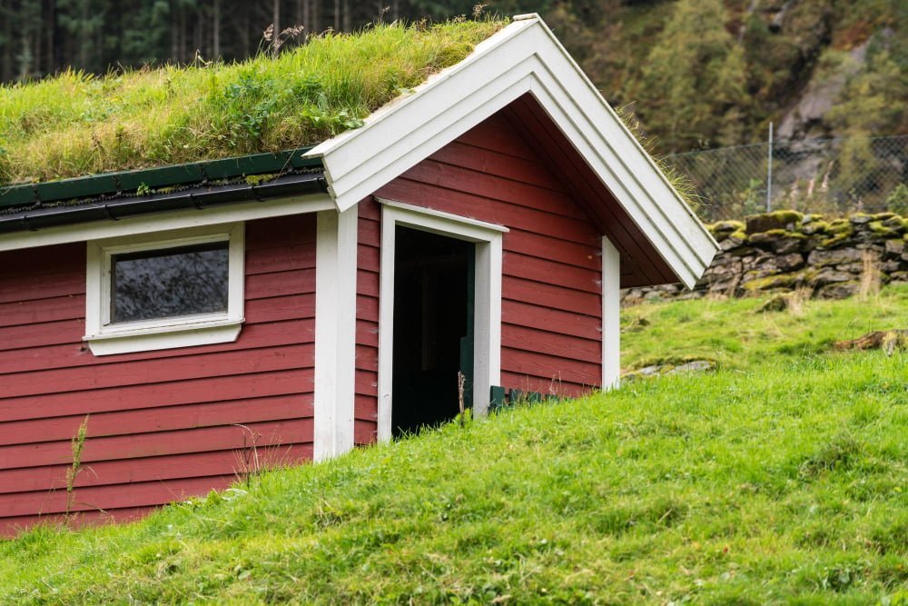 Green Roof shed roofing