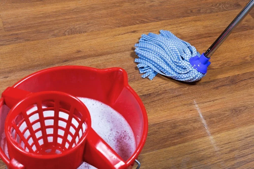 Mop and Bucket