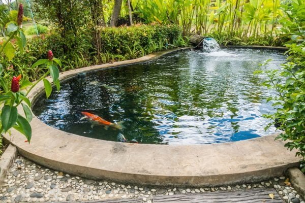15 Swimming Pool Alternatives to Beat the Heat - Eco-Friendly Swimming Pool Alternatives