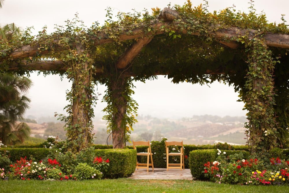 Pergolas Climbing Plants