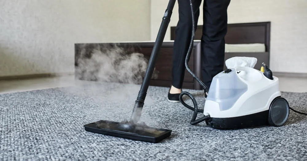 Steam Cleaner