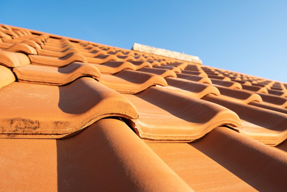Terracotta Panels roof
