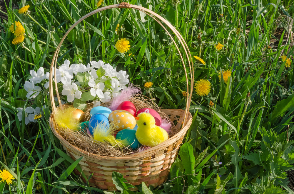 Easter Basket Hay Grass 