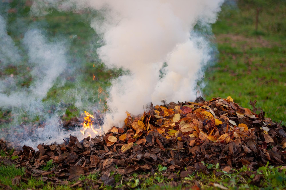 Burning Yard Debris Firewood