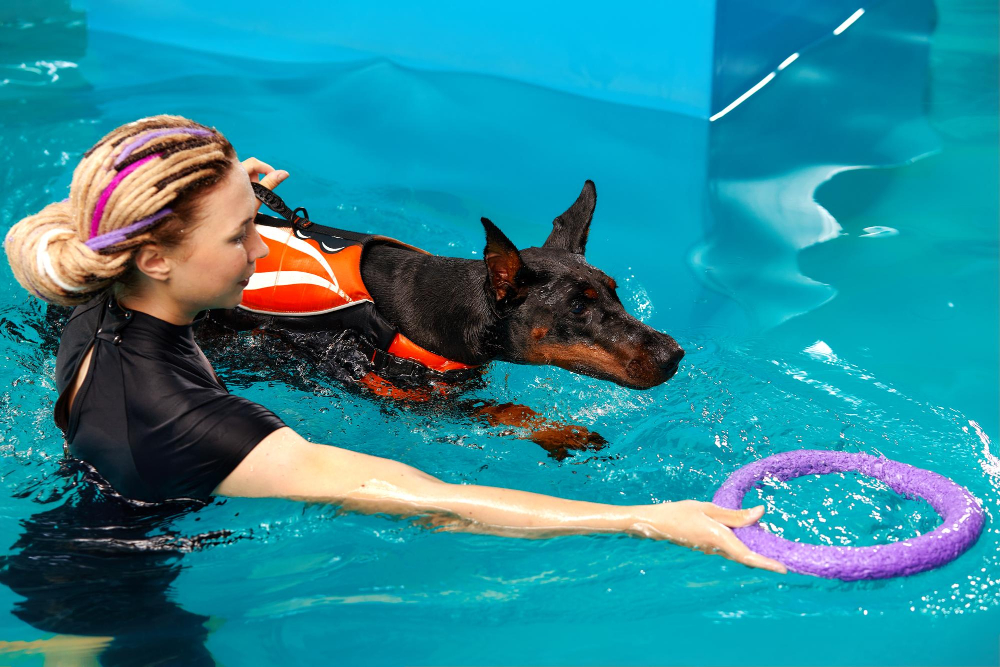 dog Hydrotherapy
