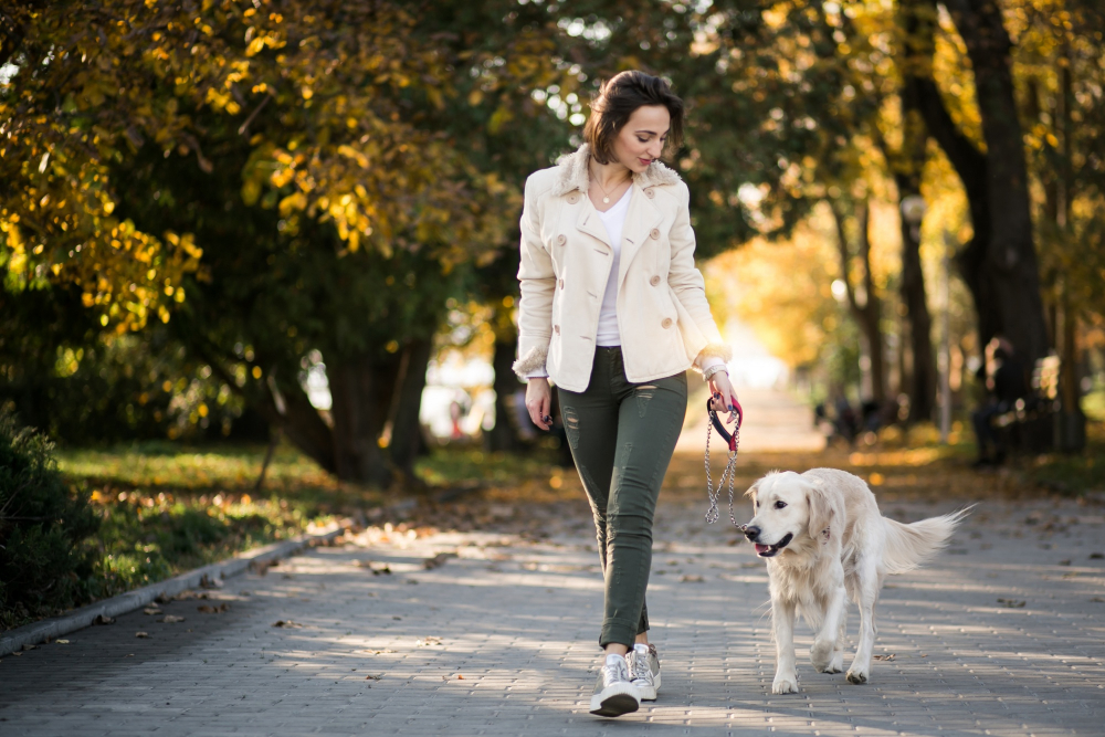 woman leash walking with dog