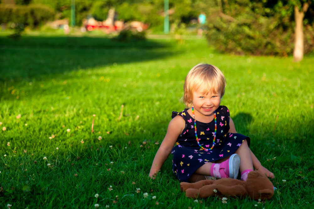 Natural Lawn Outdoor Space