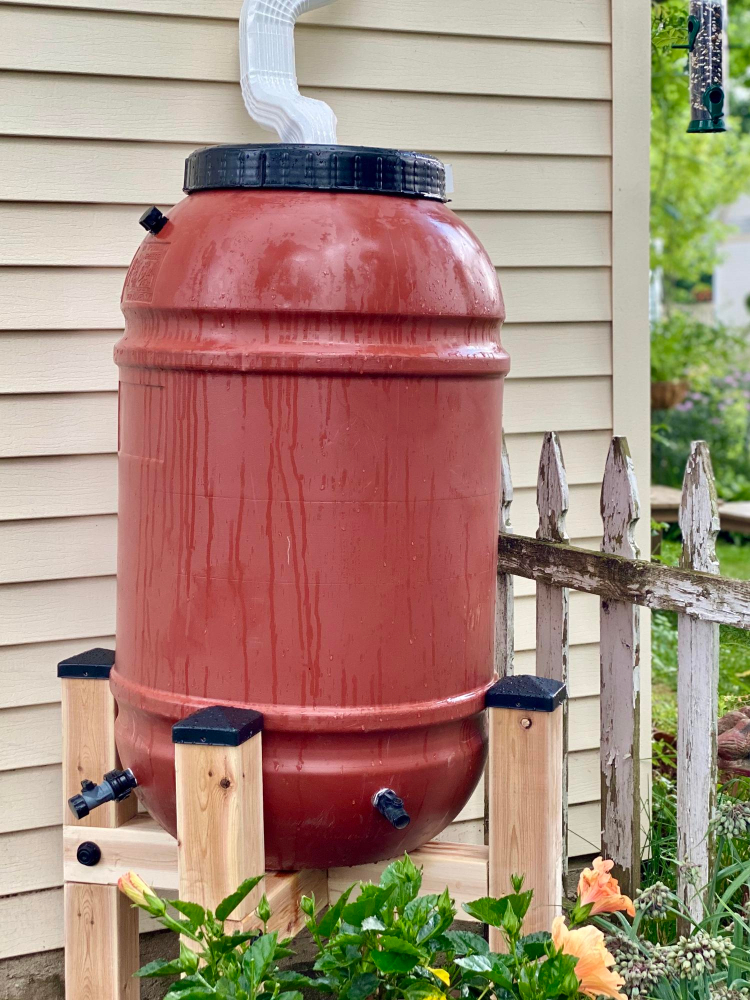 Rain Barrel