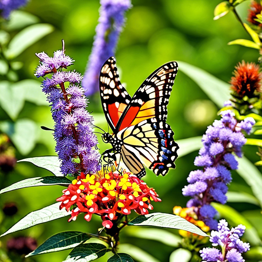 Top Butterfly Bush Alternatives Ideal Options for Your Garden