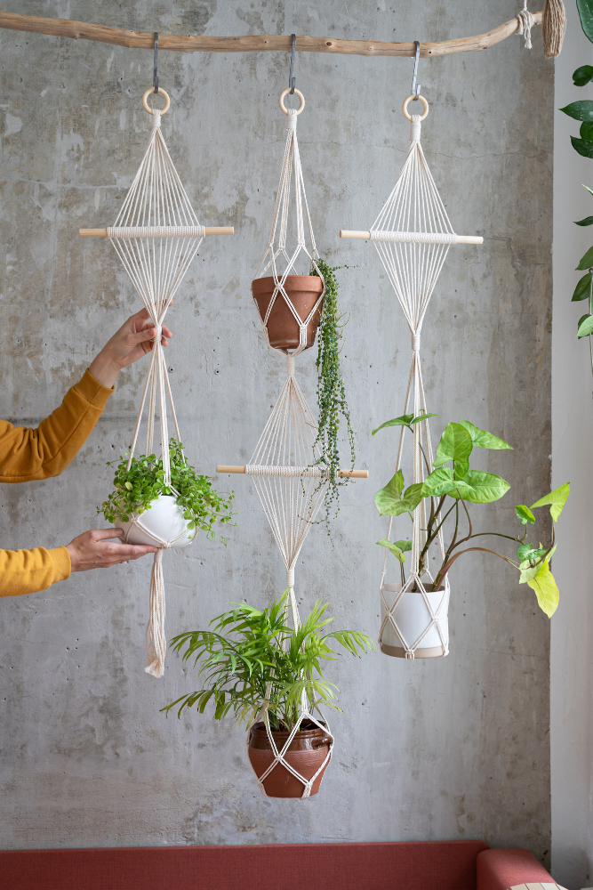 Hanging Plant Holders