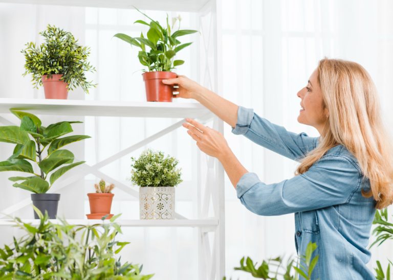 DIY Projects: Crafting Your Indoor Plant Accessories