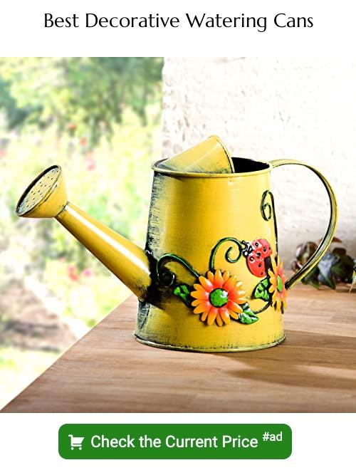 decorative watering cans