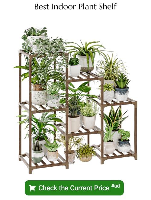 indoor plant shelf