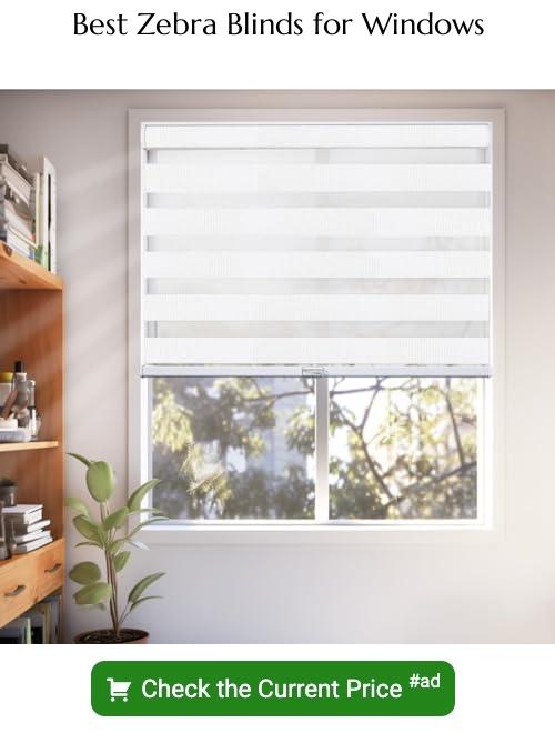 zebra blinds for windows