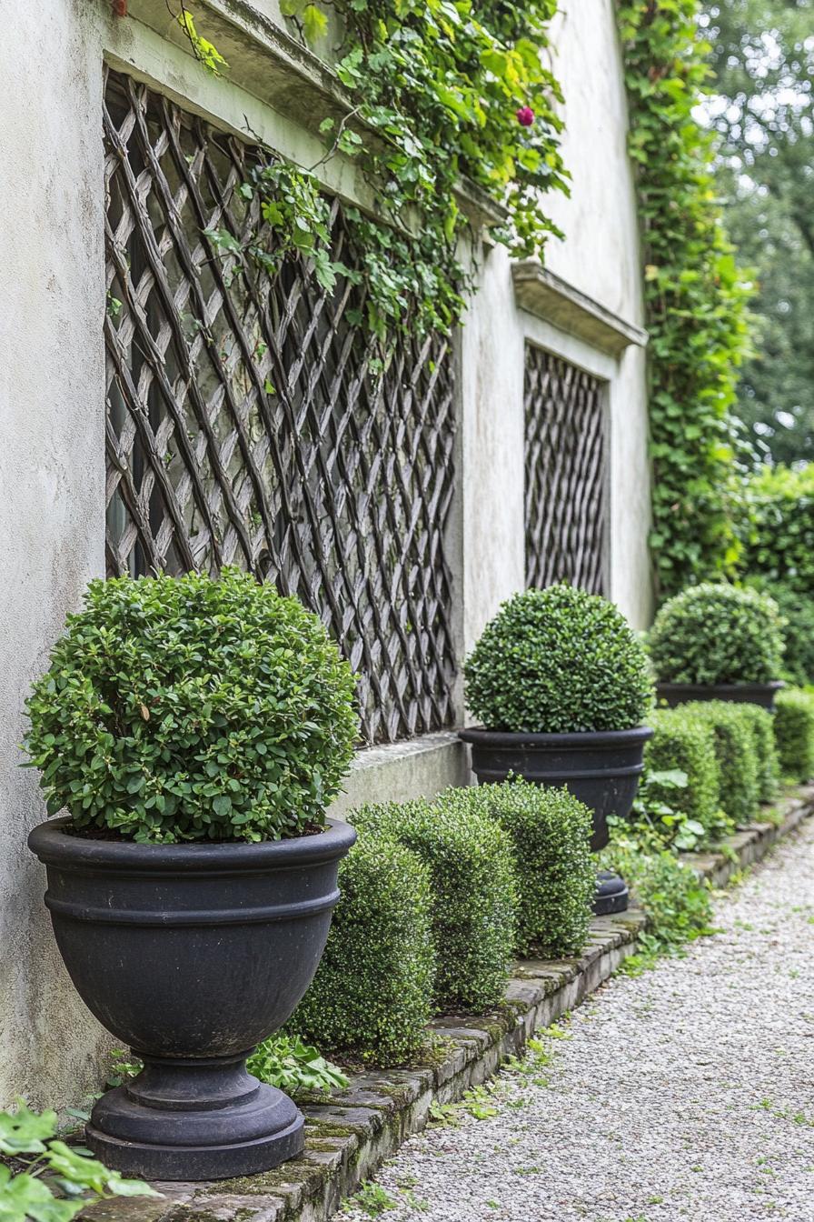 French garden with wall lattice with vines geometric shrubs vintage planters with geometric trimmed bush plants