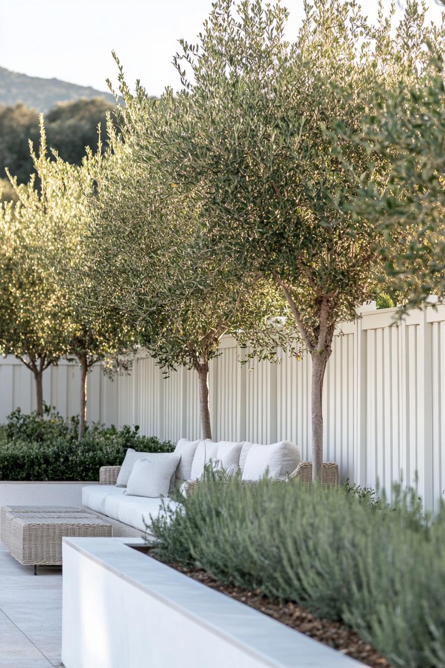 backyard landscaping with a tall white wooden fence lined with olive trees behind a white concrete curb terrazzo patio in front with outdoor lounge