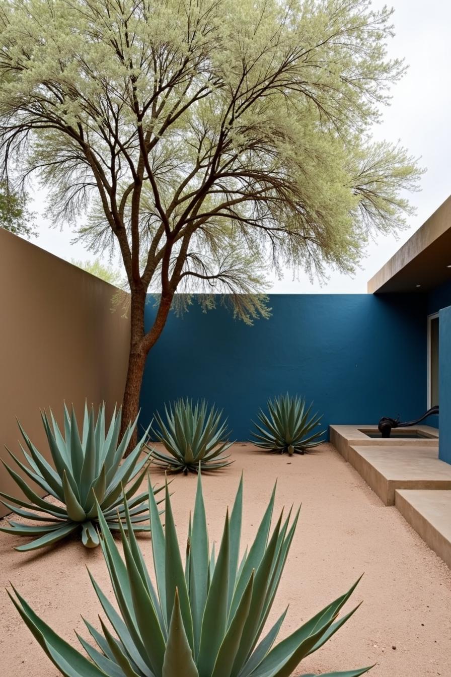 Desert backyard with agave plants and a tall tree