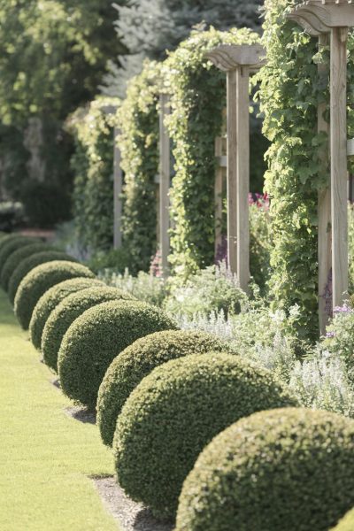 Boxwoods For Structure 27 Creative Boxwood Garden Ideas for a Timeless Landscape