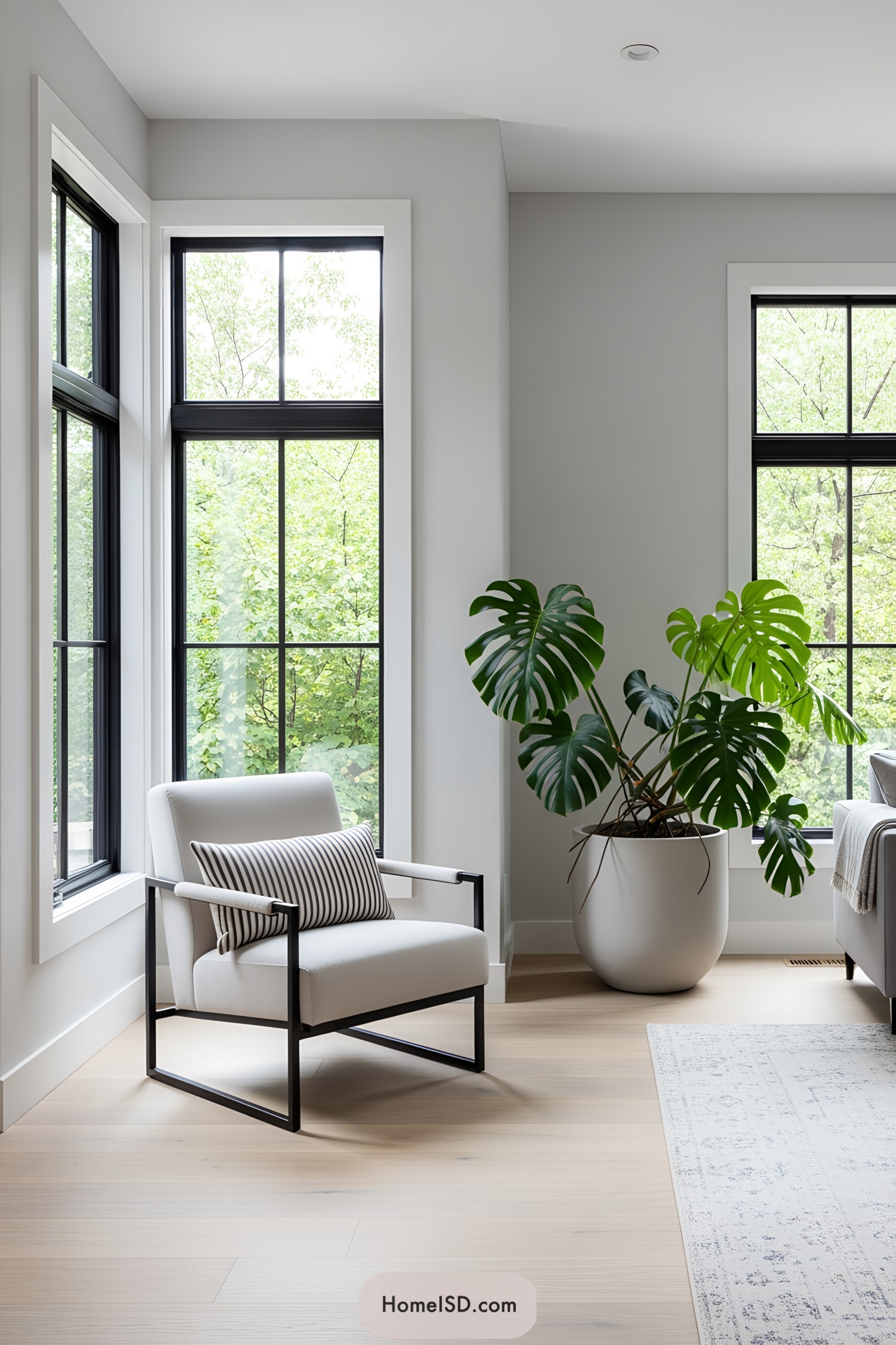 Modern chair and monstera plant near large windows