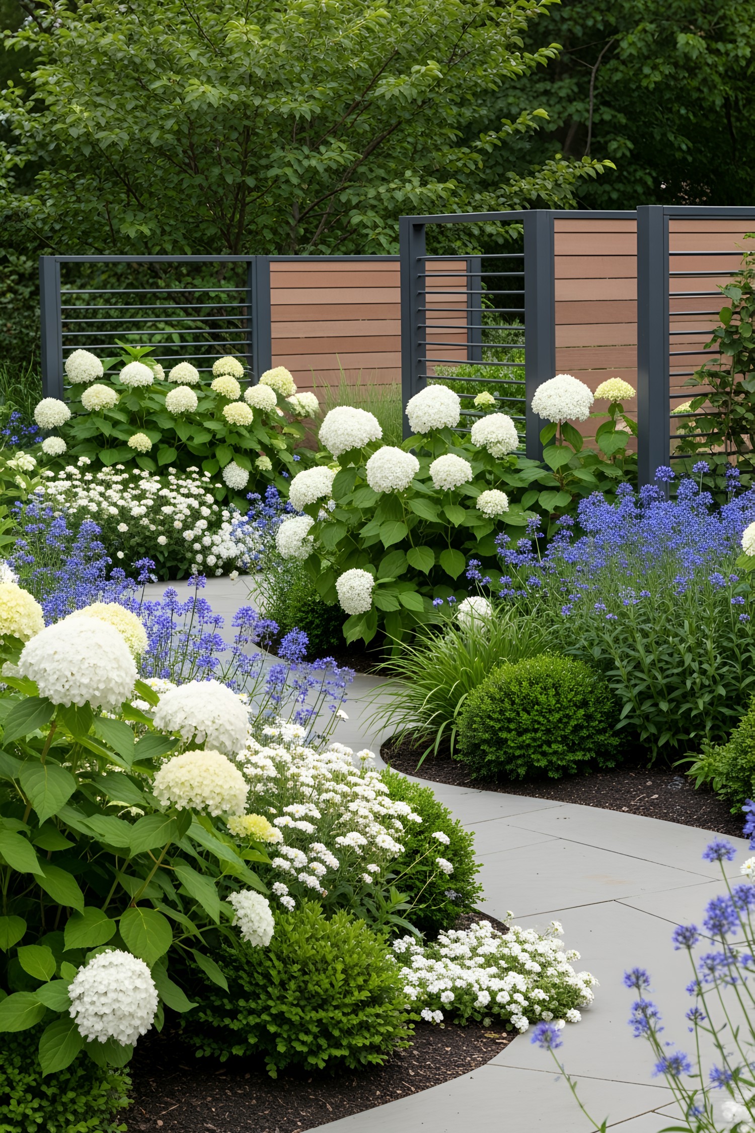 Curved path through a garden of lush hydrangeas