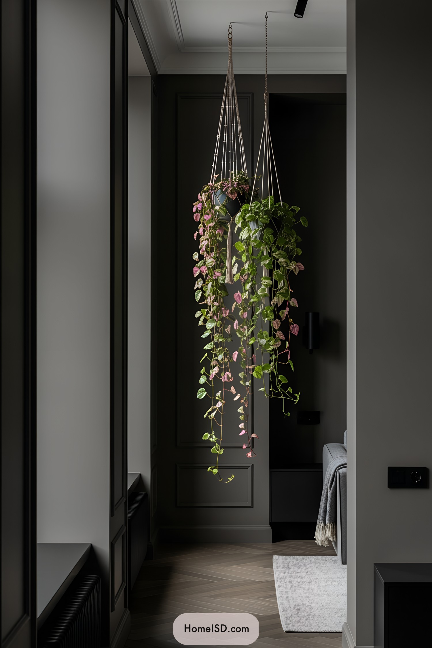 Hanging plants cascading in a stylish modern hallway