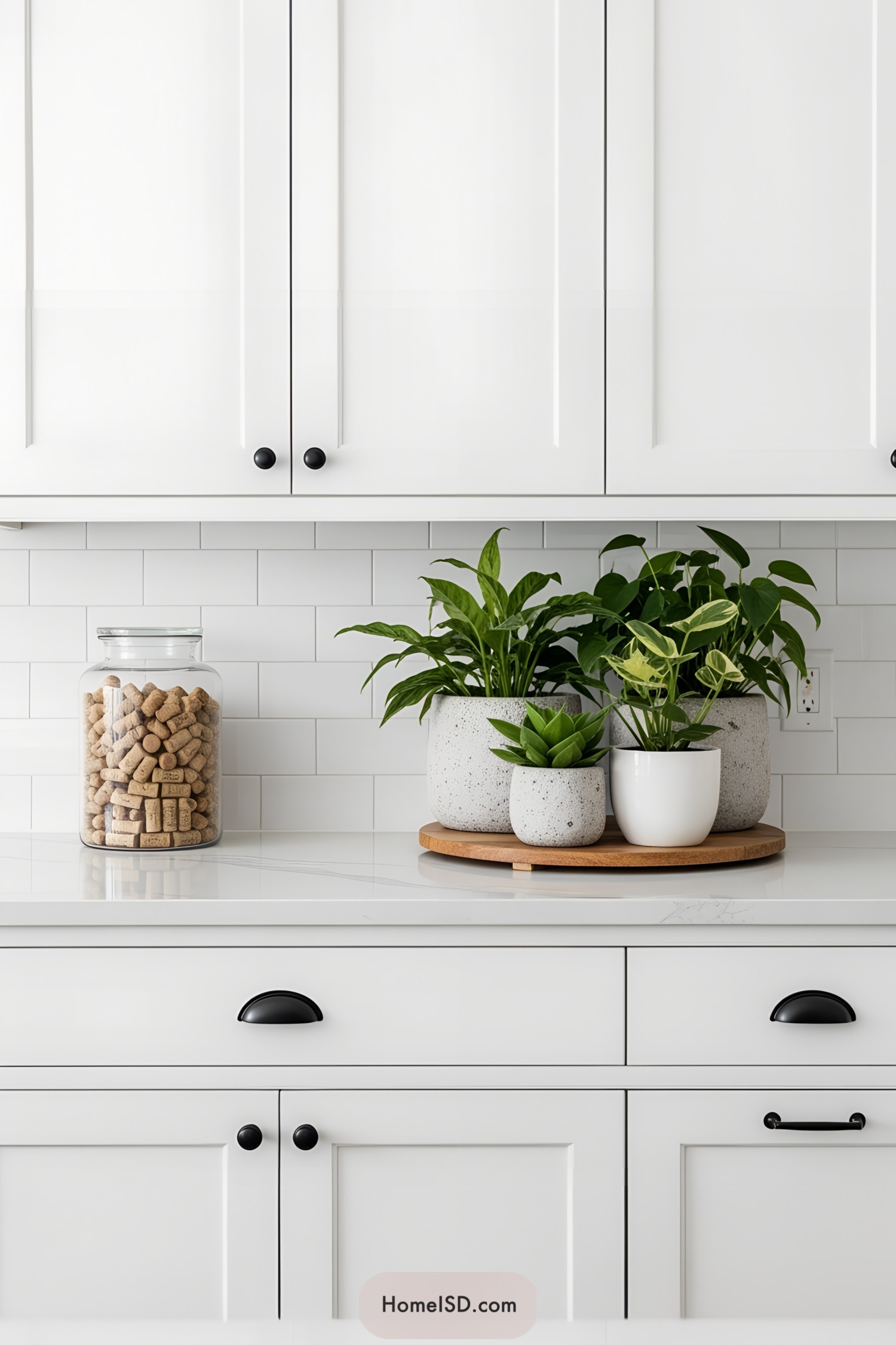 Kitchen counter with plants and a jar of corks