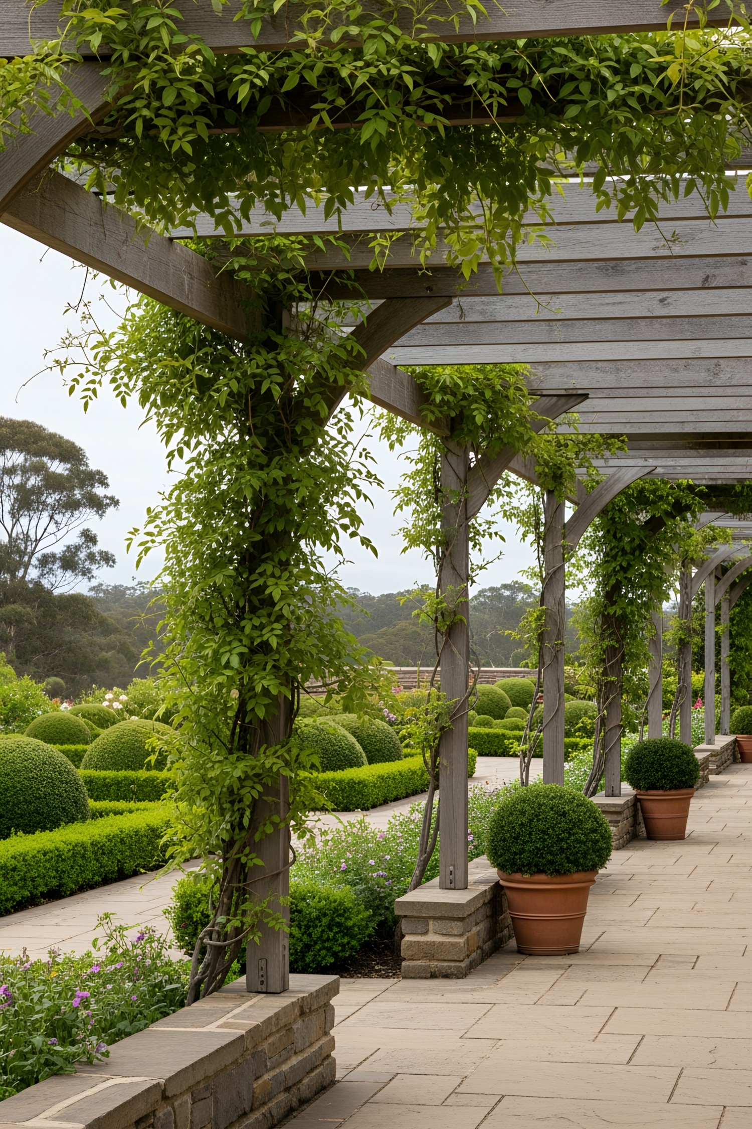 Lush pergola walkway with climbing vines over a garden path