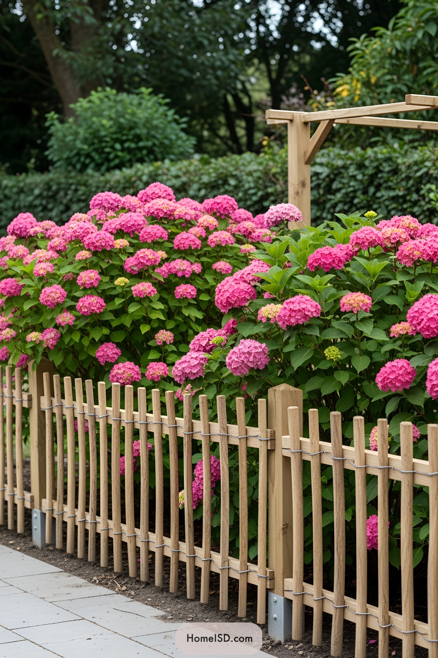 Wooden fence with lush pink flowers