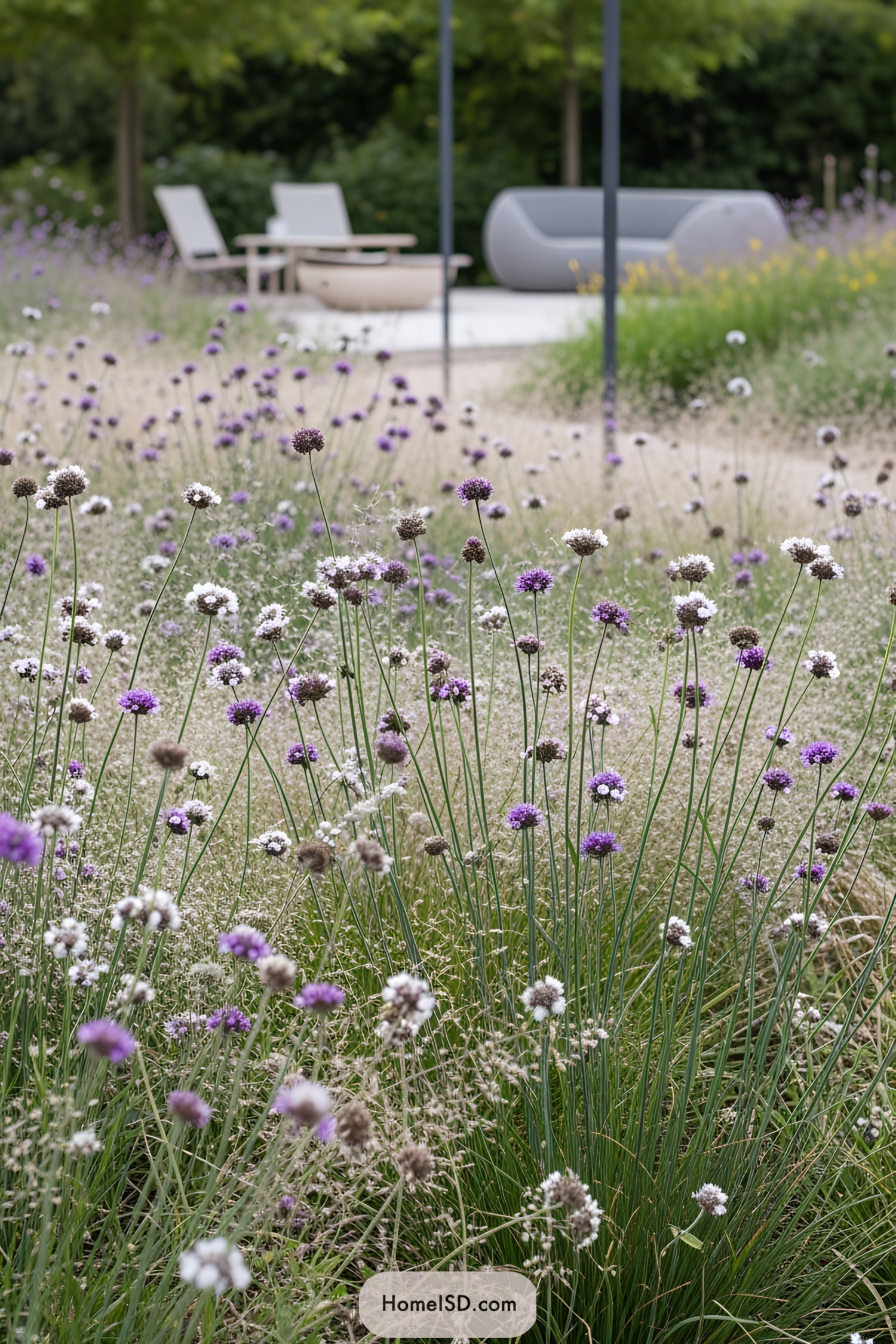 A tranquil dry garden with sparse wildflowers and modern seating