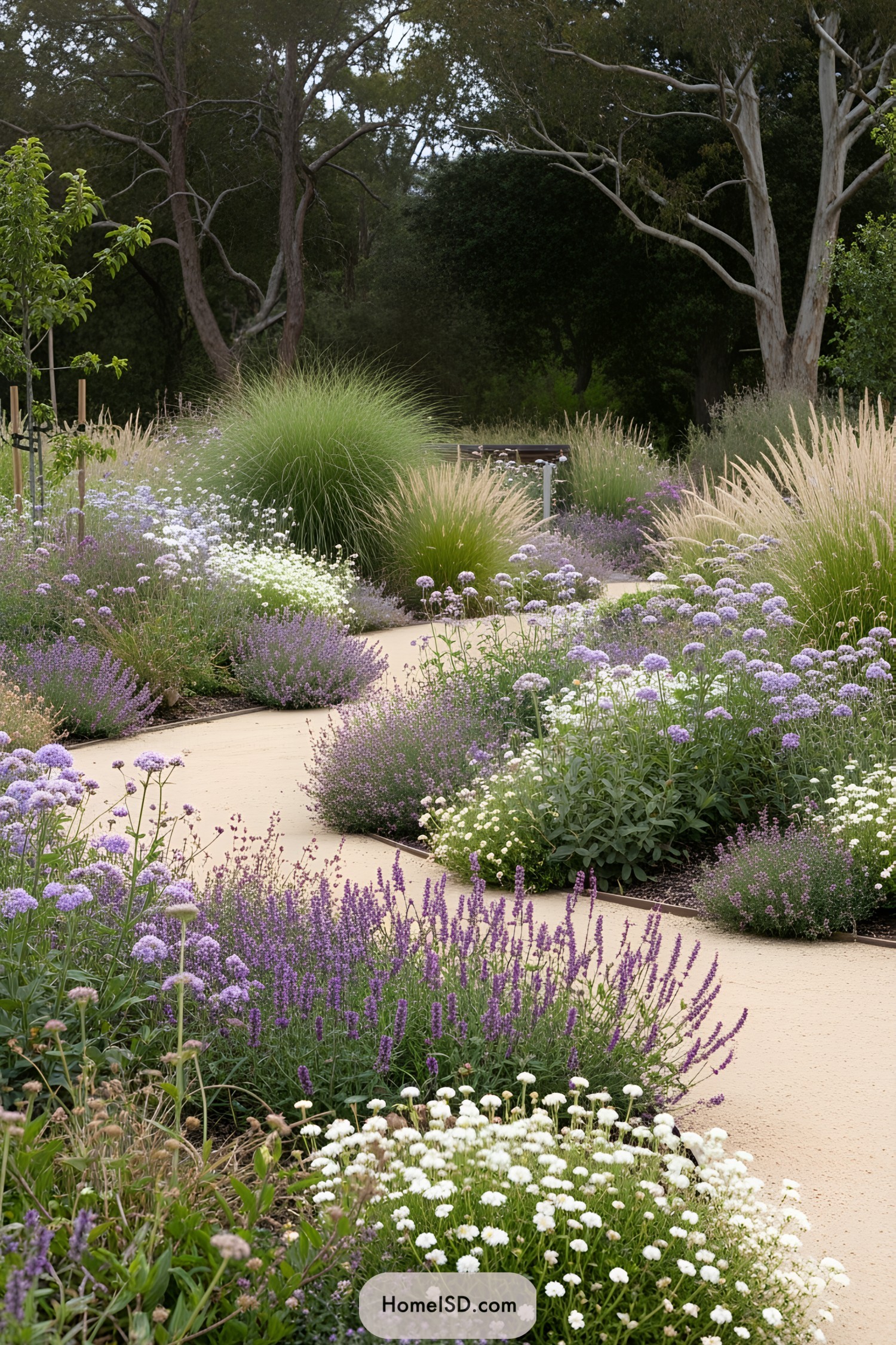 Curved path amid lush dry garden flora