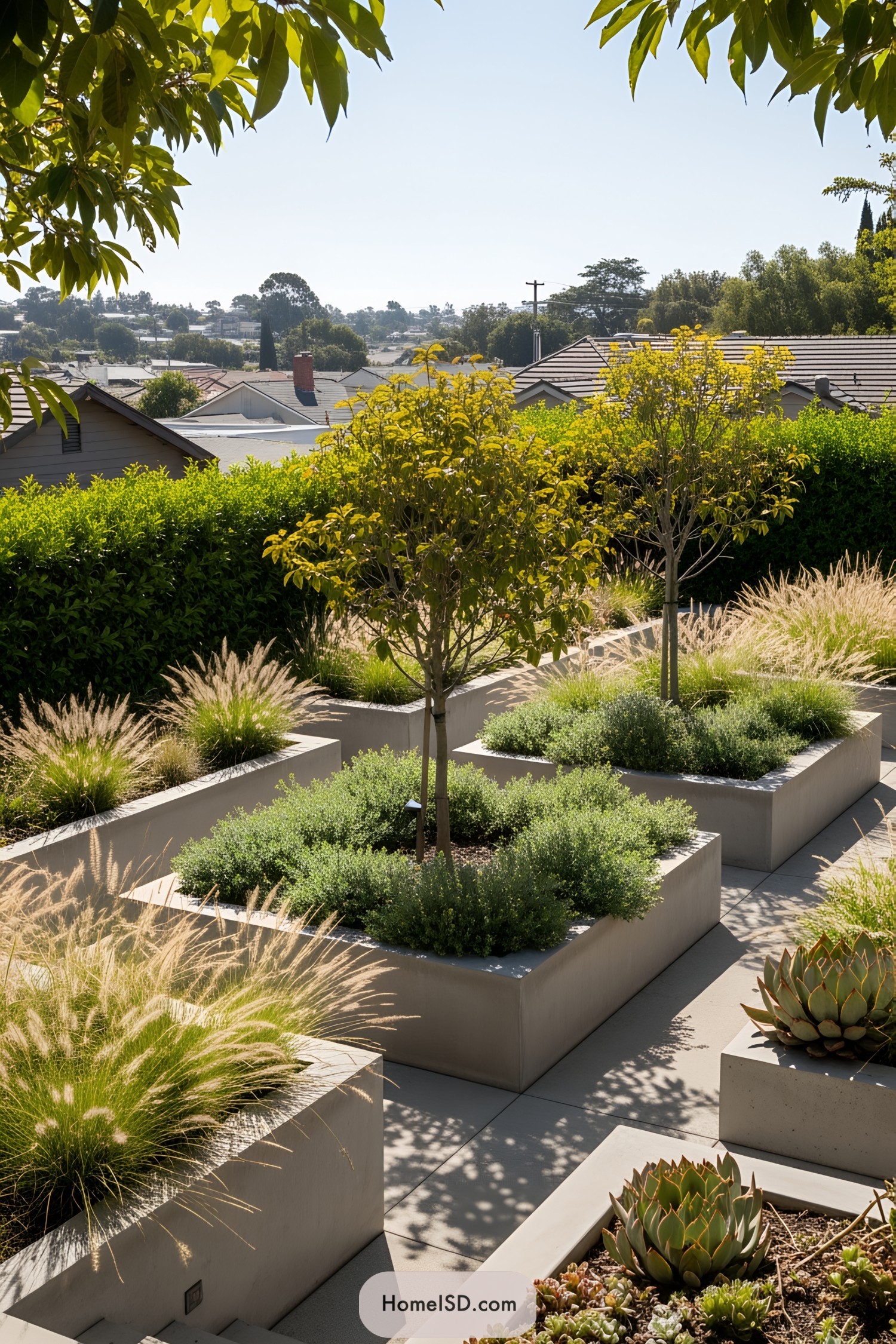 Modern dry garden with raised planters and greenery