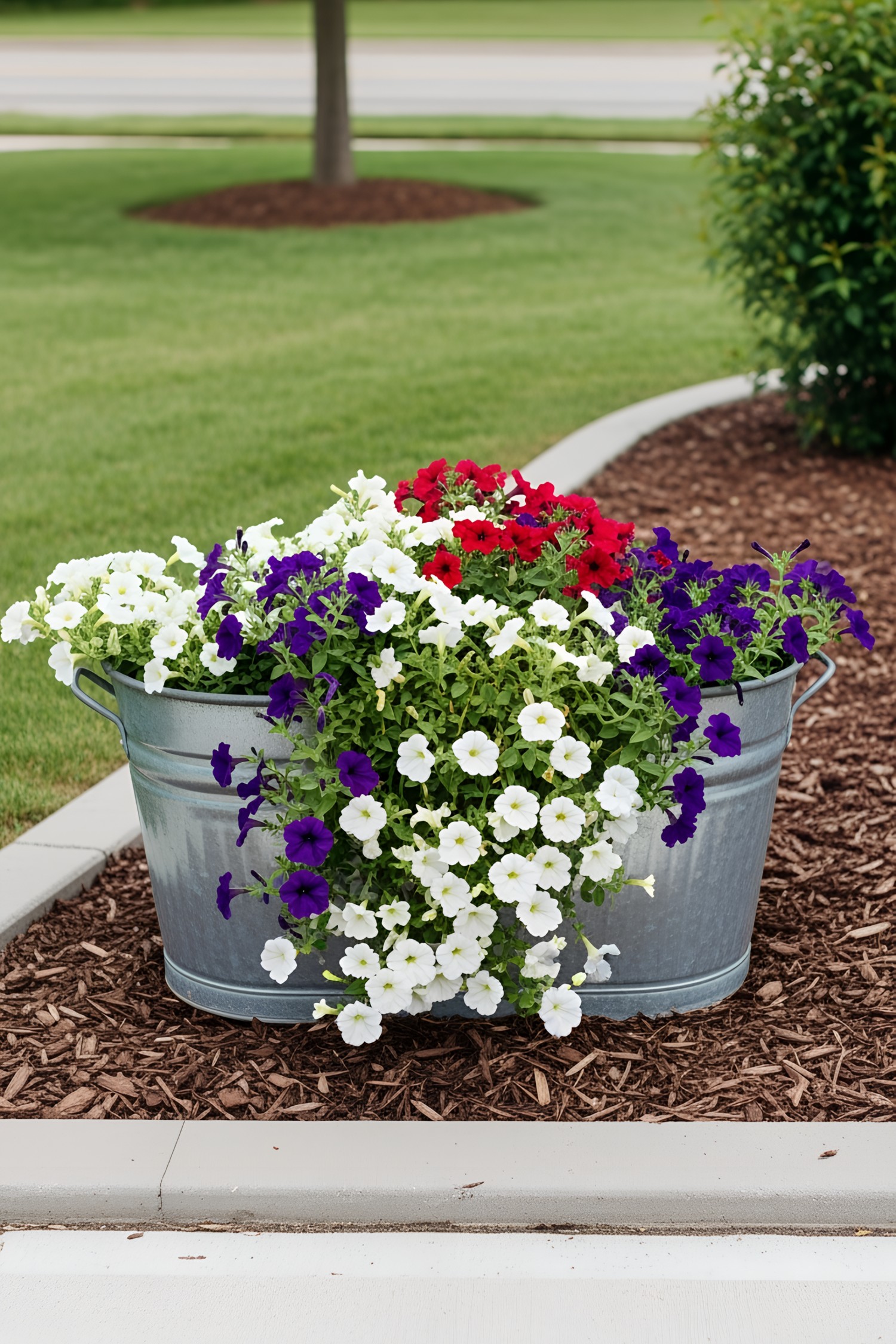 Colorful flowers in a galvanized tub on a landscaped lawn