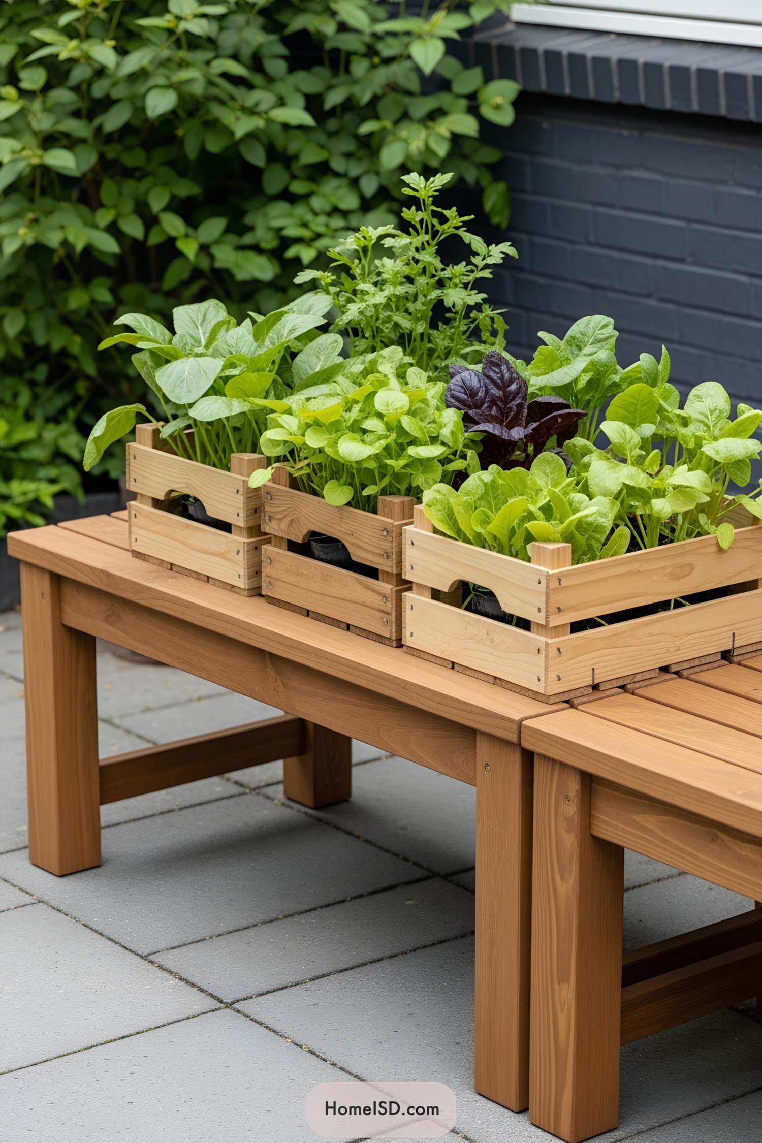 Wooden crates on a bench growing fresh greens