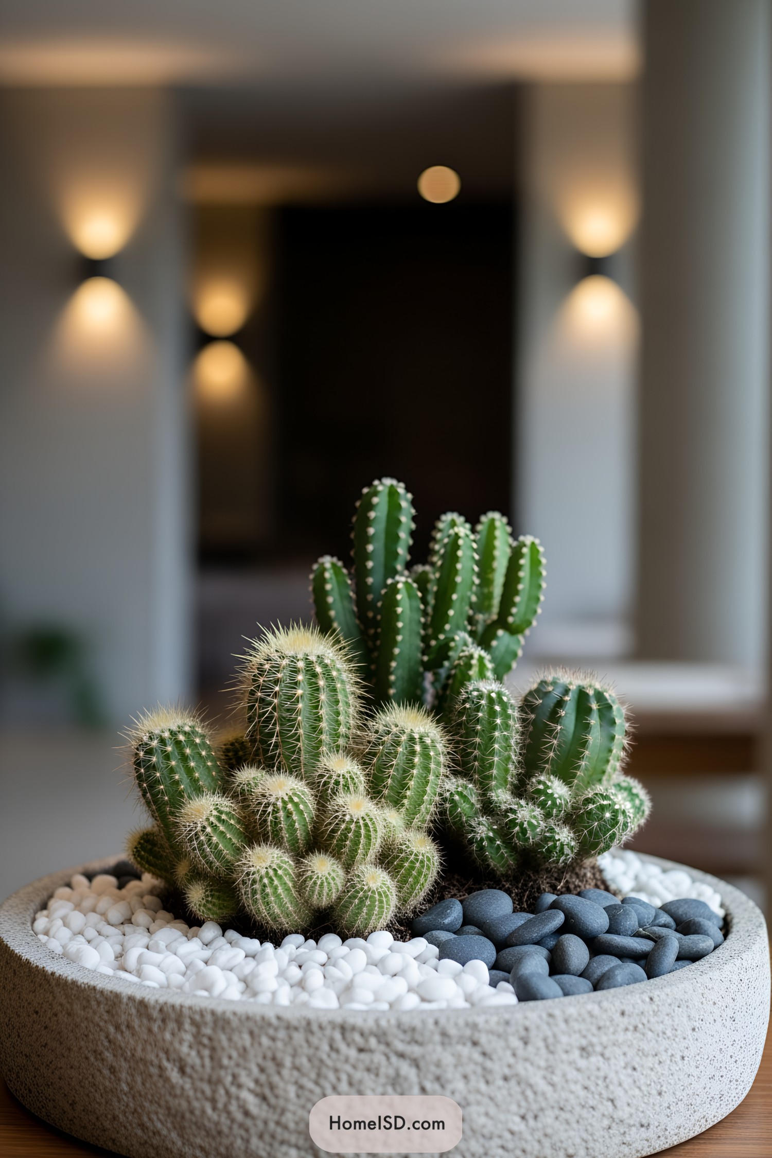 Mini cactus garden in a round pot with decorative rocks