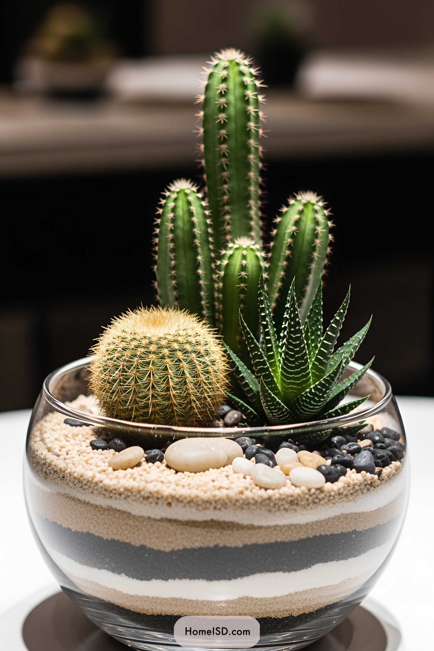 Stylish cactus arrangement in a glass bowl