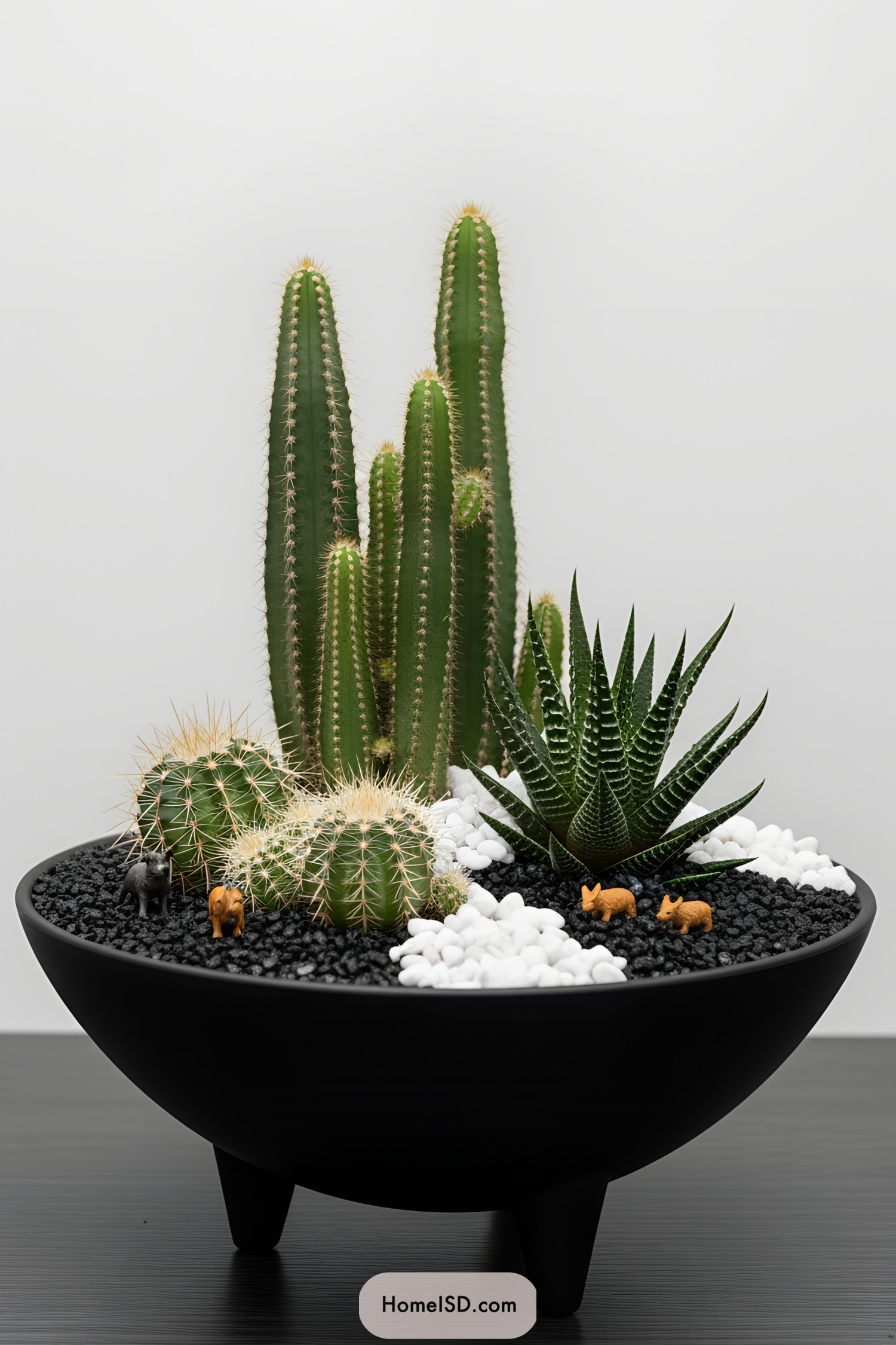 Miniature cactus garden in a black bowl with pebbles