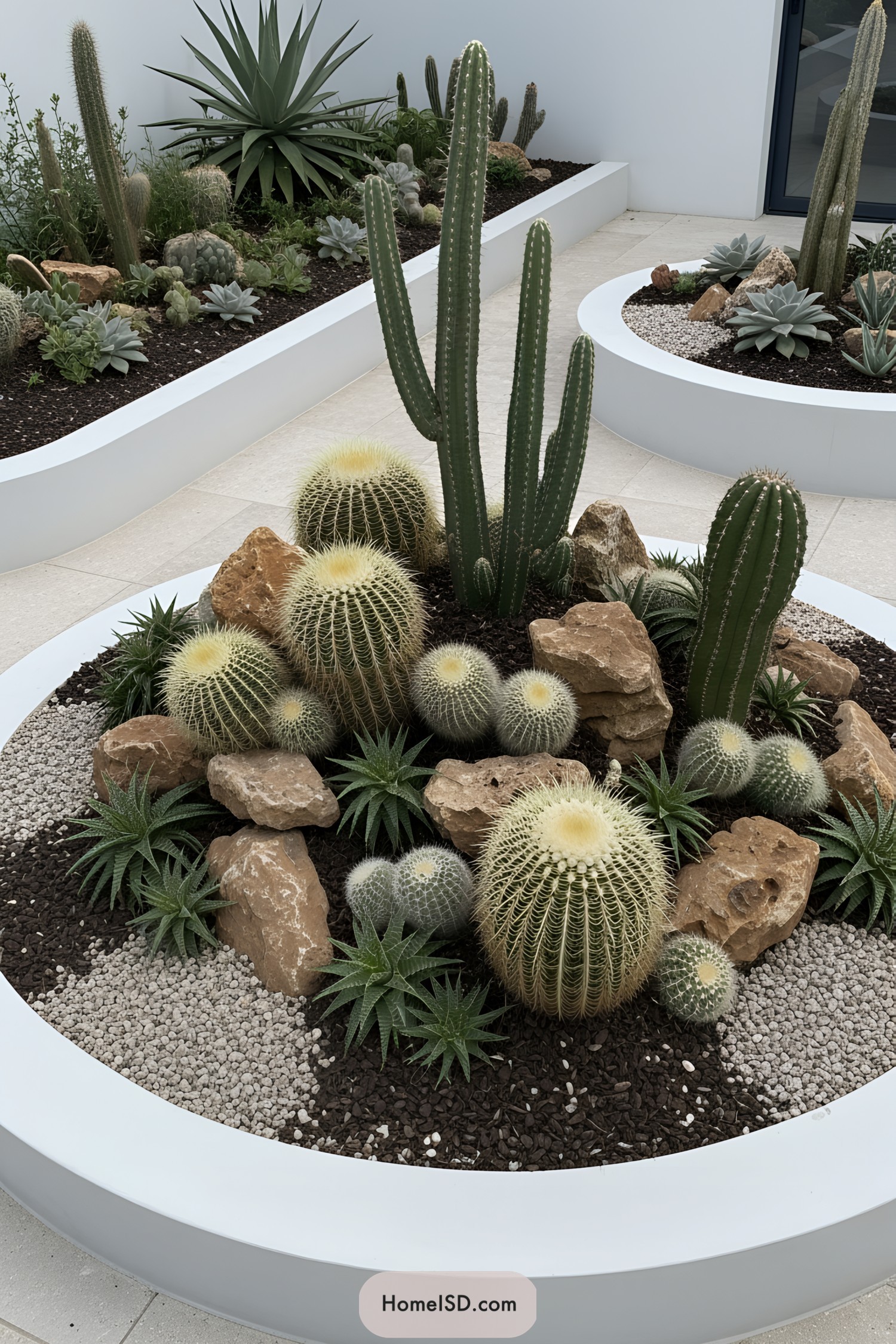 A variety of cacti arranged in a modern garden setting
