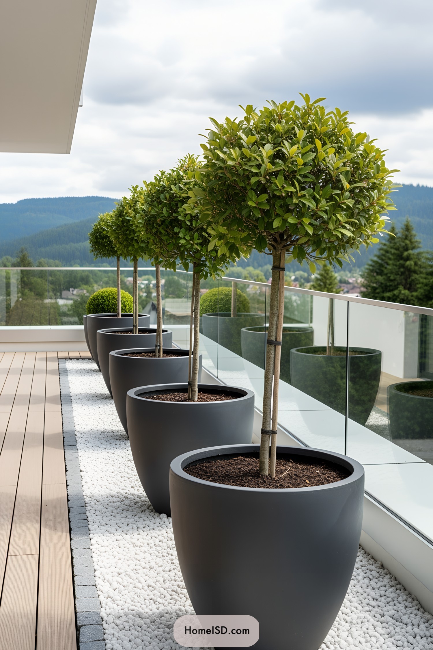 Row of potted trees on a stylish deck