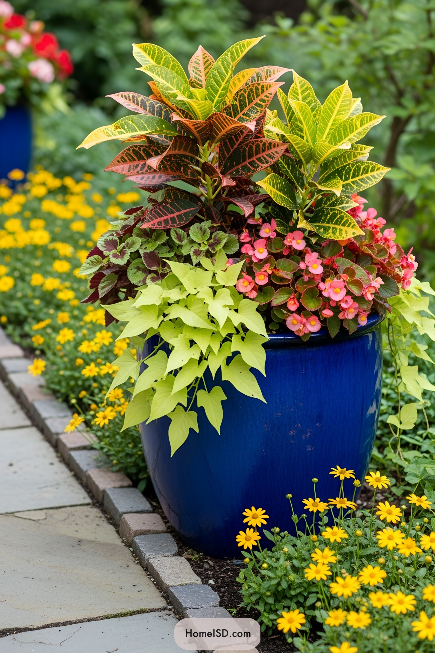 Vibrant plants overflow from a glossy blue pot, surrounded by cheerful yellow flowers
