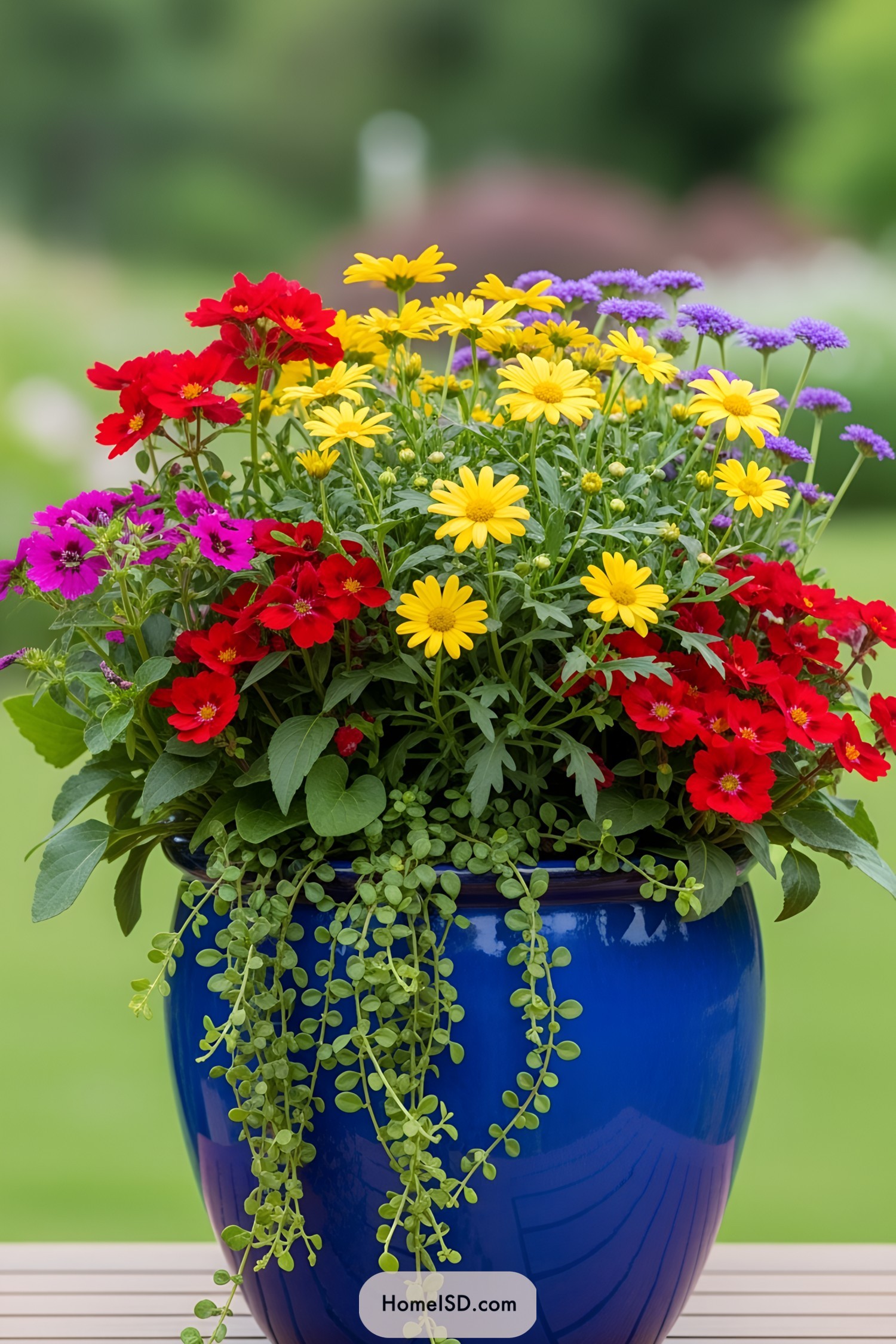 Colorful flowers in a blue pot