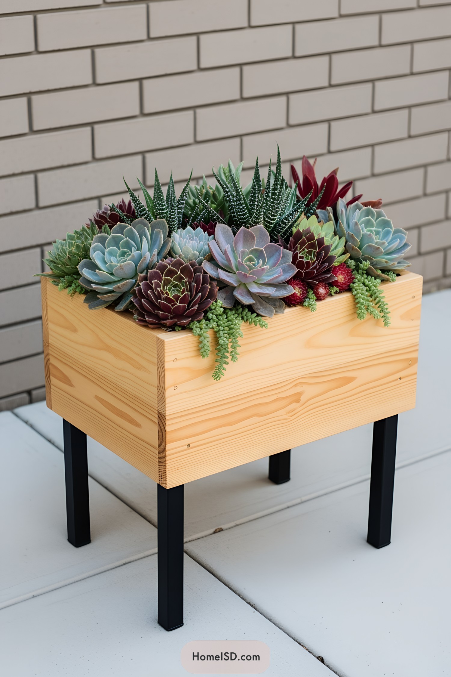 Wooden planter box bursting with colorful succulents against a brick wall