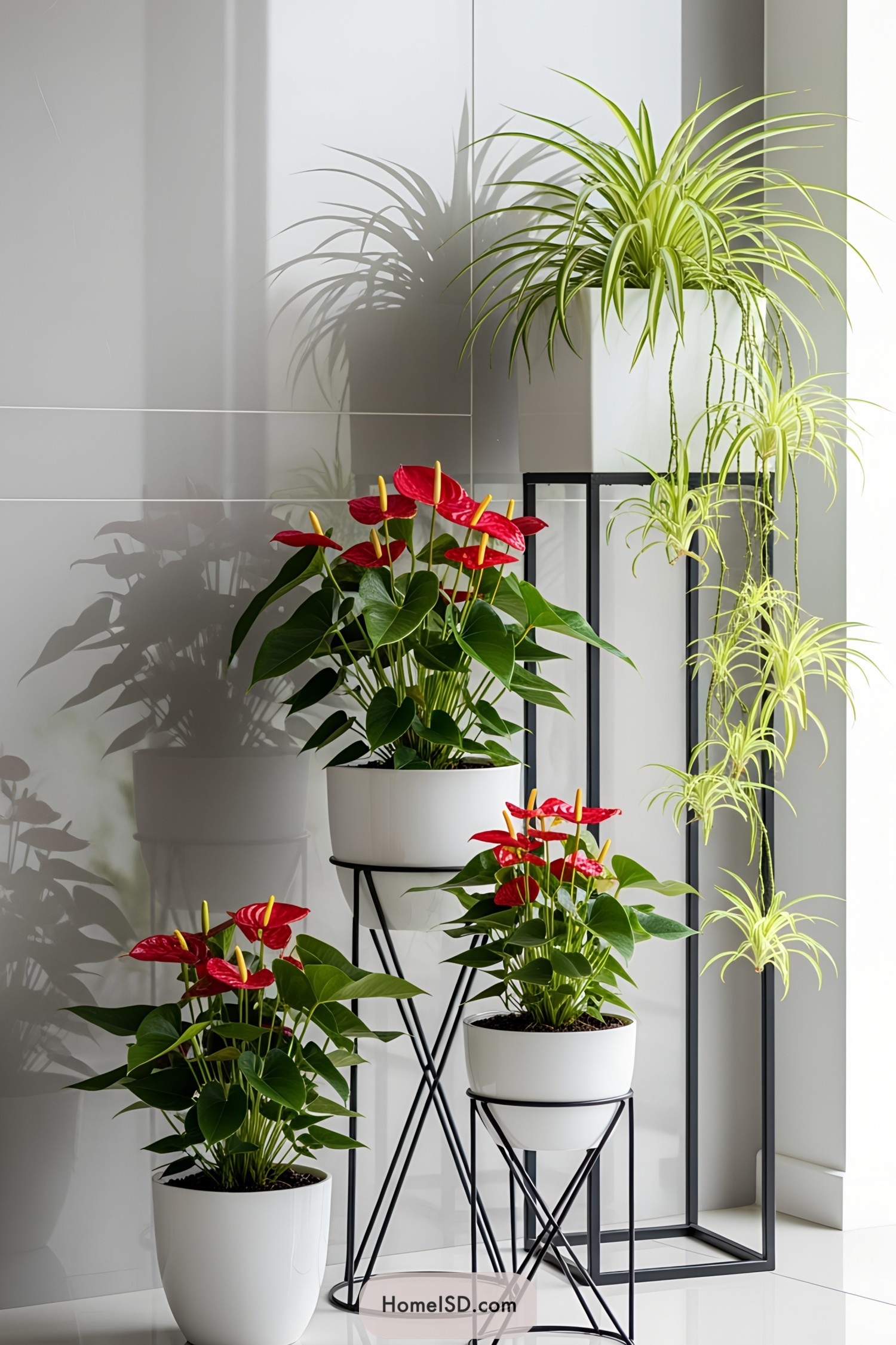 Elegant modern plant stands with vibrant red and green foliage