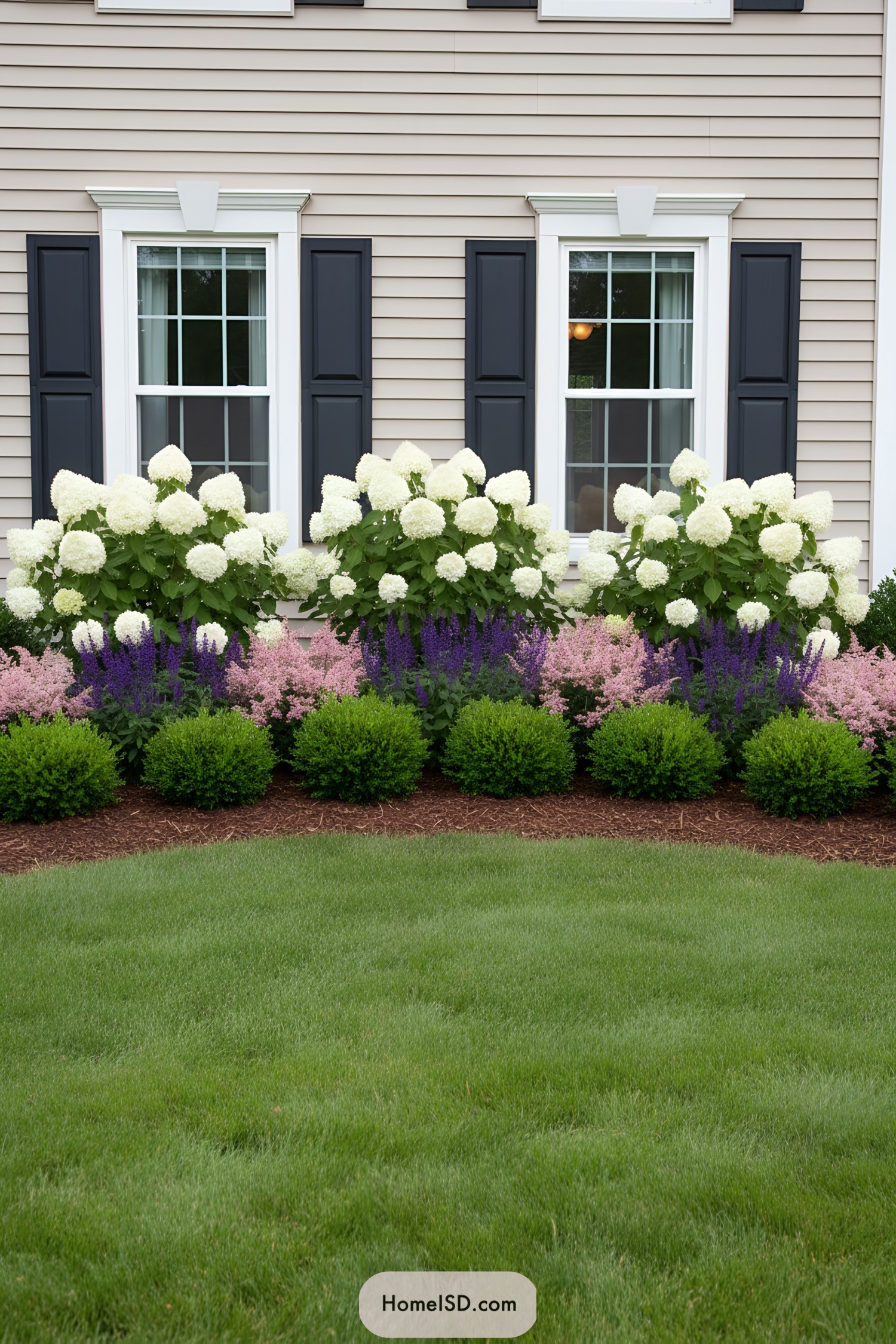 Colorful garden with hydrangeas and manicured bushes in front of a house