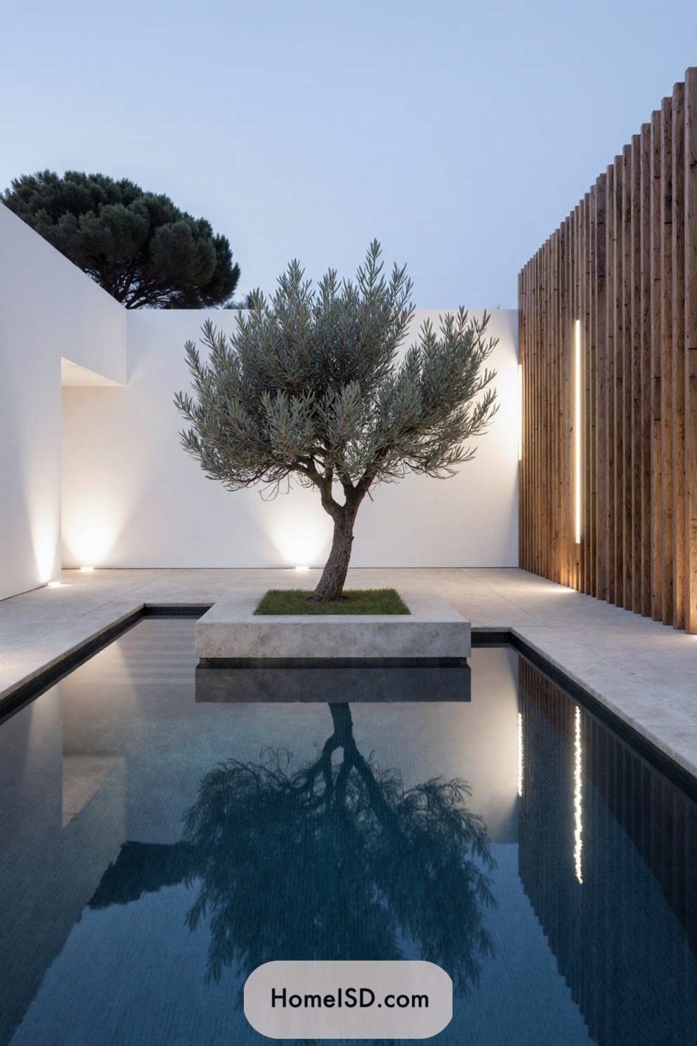 A serene courtyard with an olive tree centered