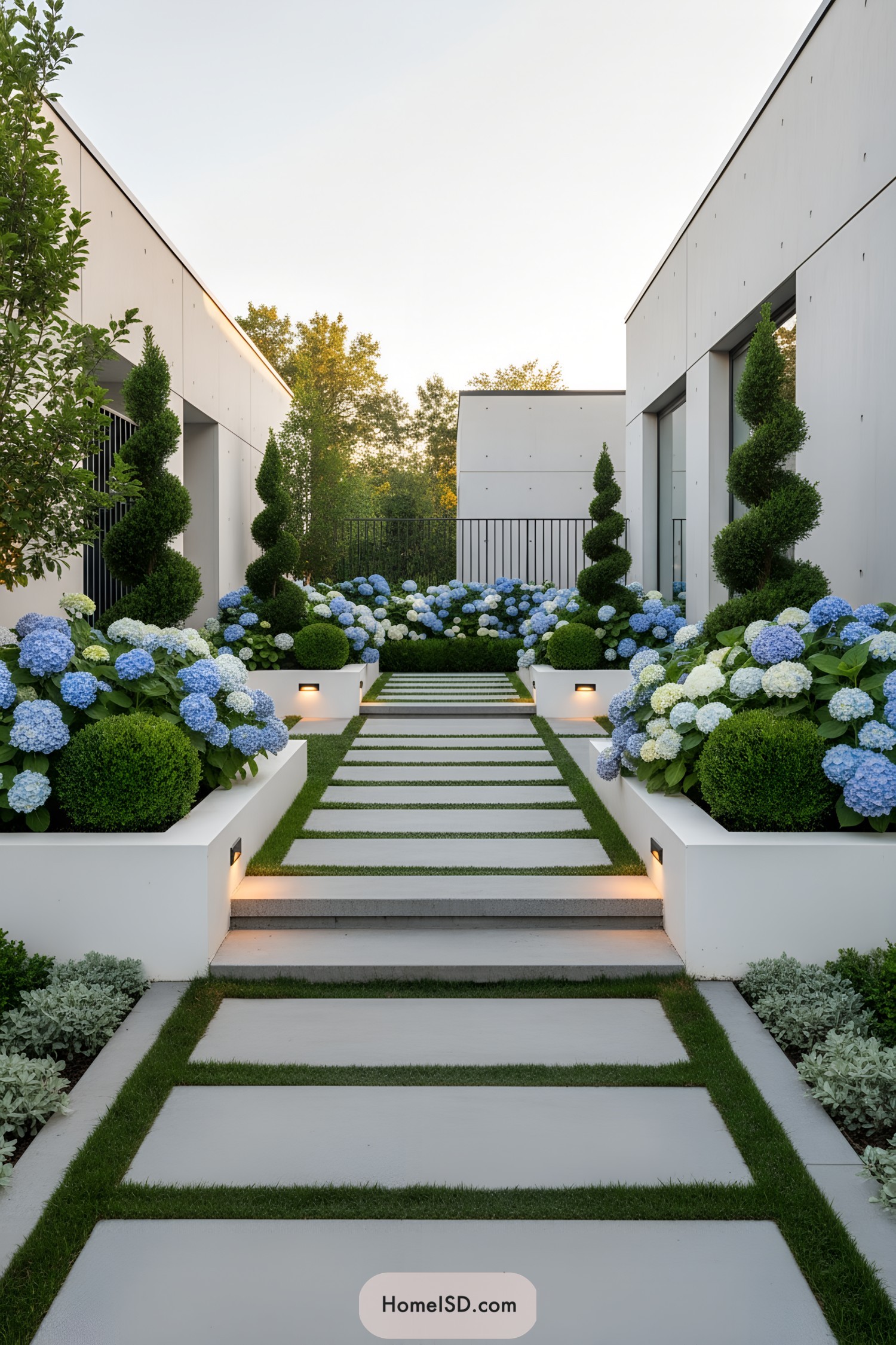 Modern garden with blue hydrangeas and geometric pathways