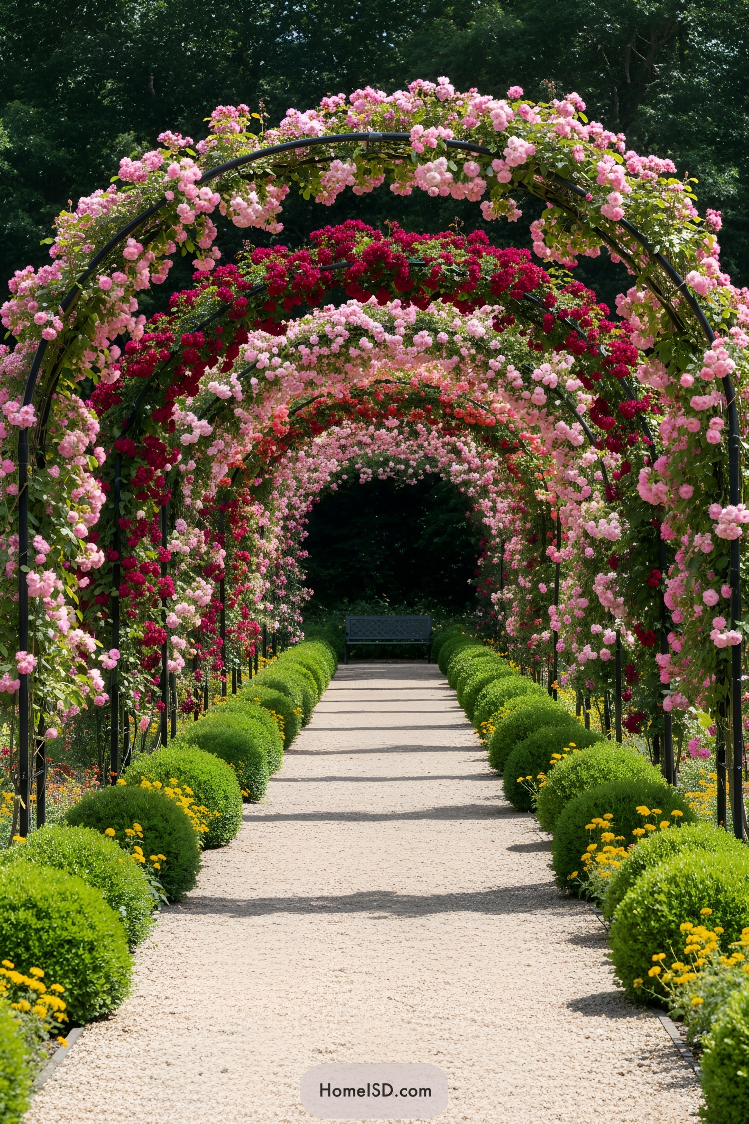 Arched roses over a gravel path with bench