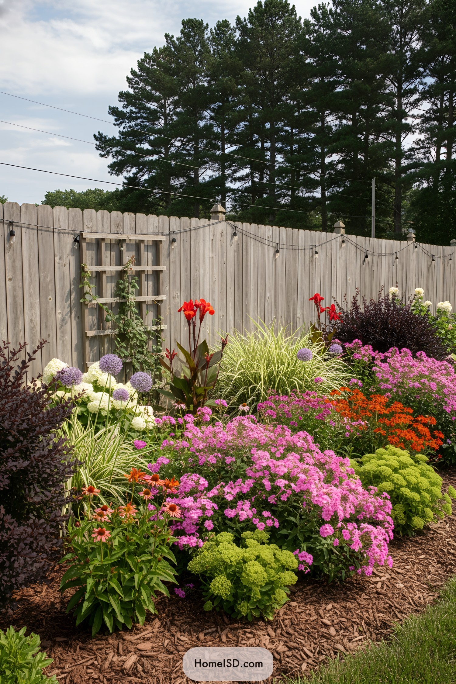 Layered backyard border of pink phlox, red cannas, and allium beside a wood fence with string lights