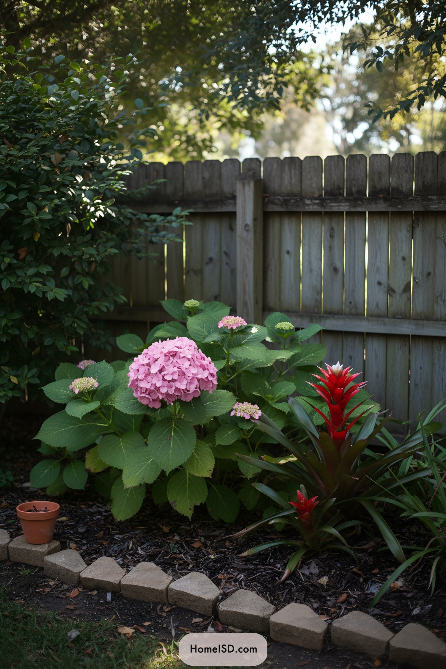 Pink hydrangea and red bromeliad in a stone-edged backyard bed by a wooden fence