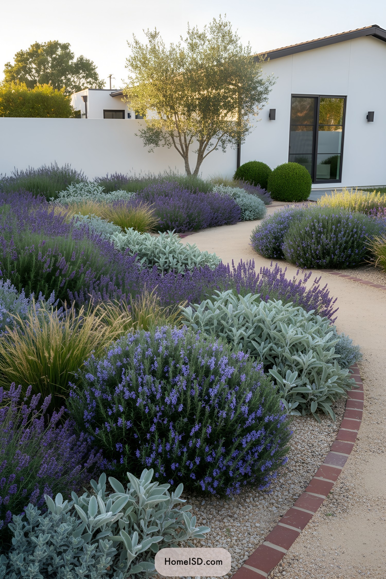 Curved gravel path through blue-toned shrubs