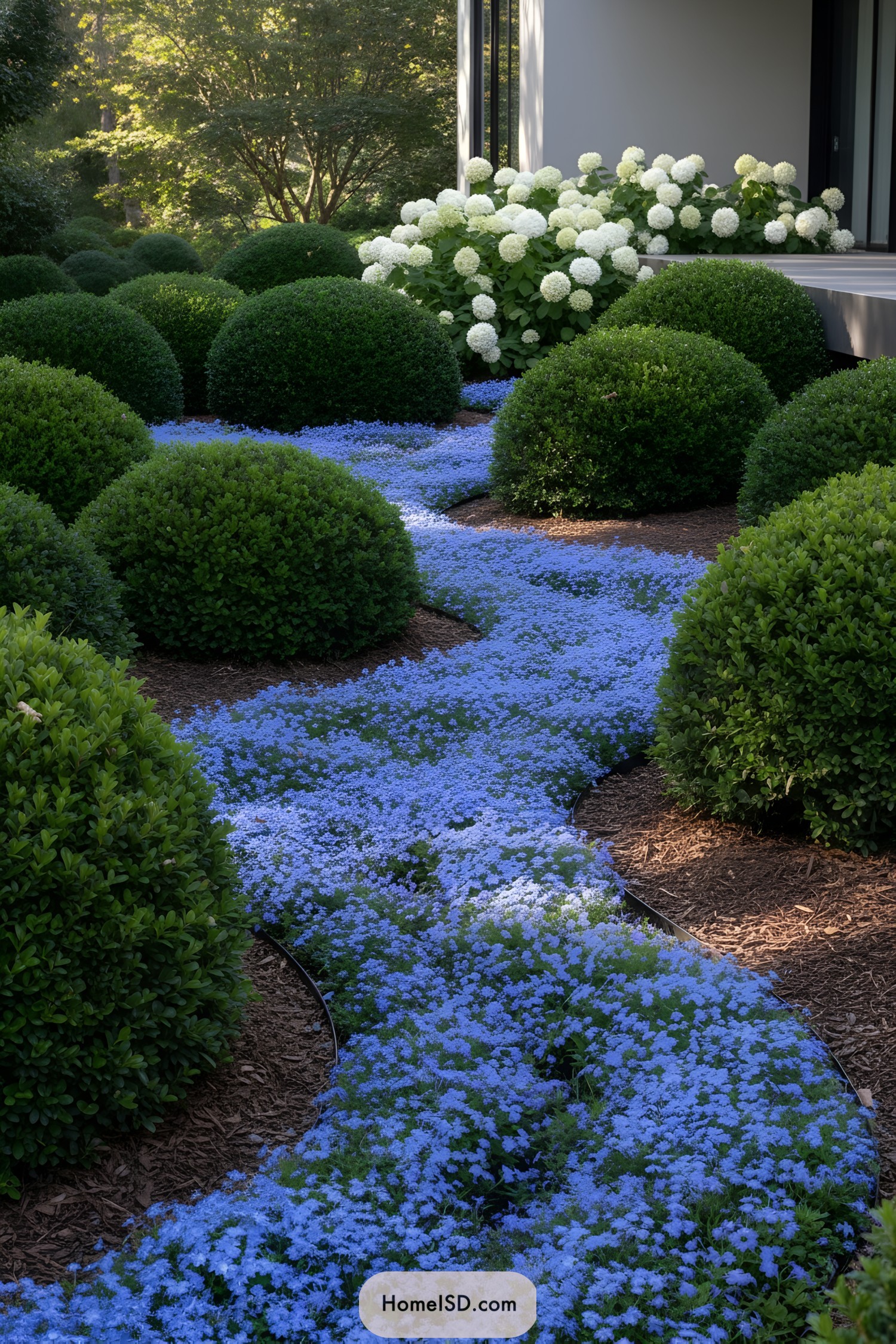 Curved river of blue flowers between manicured shrubs